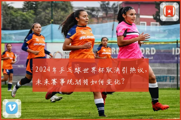 2024年乒乓球世界杯取消引热议，未来赛事规划将如何变化？