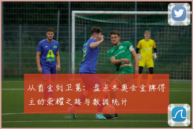 从首金到卫冕:盘点冬奥会金牌得主的荣耀之路与数据统计