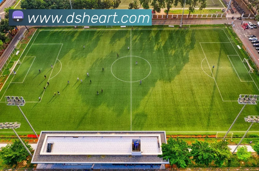 奇异果工作室官网平台生态图