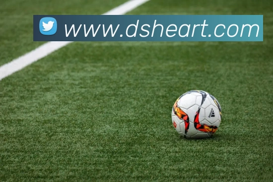 数据防护可视化